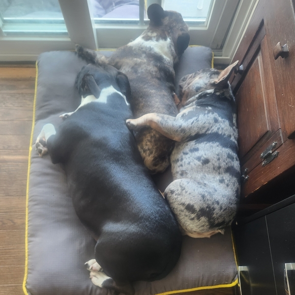 Live Like Listing: Shop my closet, low starts, under $10. - Picture 12 of 16